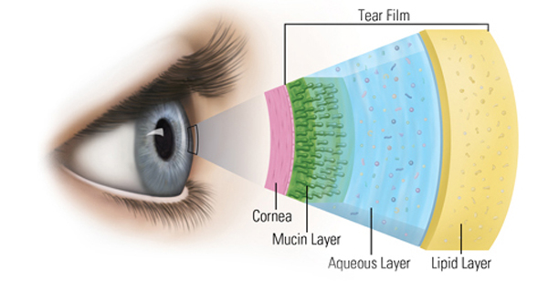 Injectable Sodium Hyaluronic Acid / Eye Surgey Hyaluronate Dermal Filler